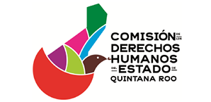 Comisión de derechos humanos